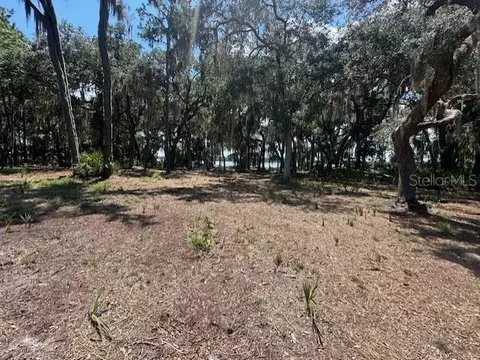 356 Drayton Island Rd, Georgetown, FL 32139 photo 31