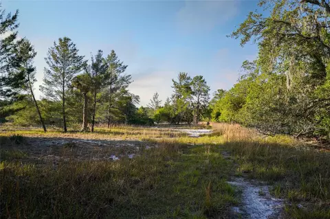 356 Drayton Island Rd, Georgetown, FL 32139 photo 29