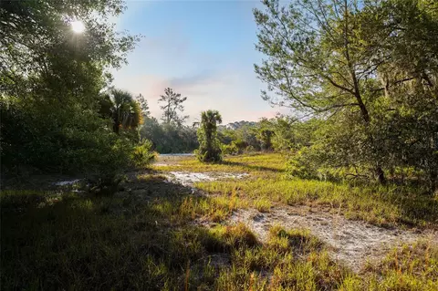356 Drayton Island Rd, Georgetown, FL 32139 photo 28