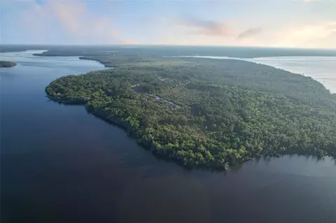356 Drayton Island Rd, Georgetown, FL 32139 photo 7