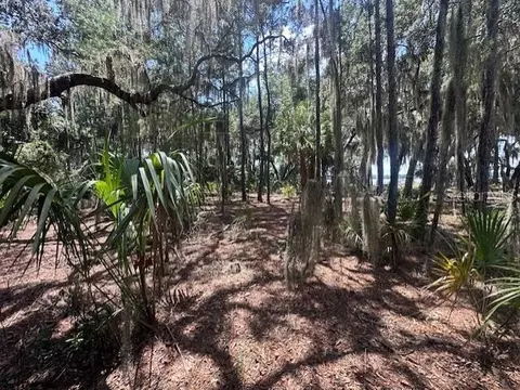 356 Drayton Island Rd, Georgetown, FL 32139 photo 35