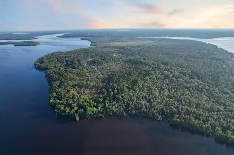 356 Drayton Island Rd, Georgetown, FL 32139 photo 11
