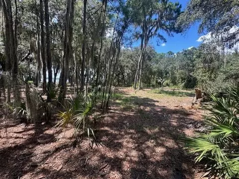 356 Drayton Island Rd, Georgetown, FL 32139 photo 33