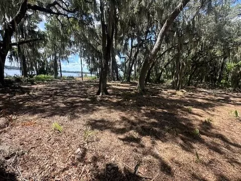 356 Drayton Island Rd, Georgetown, FL 32139 photo 39