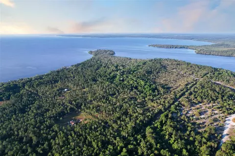 356 Drayton Island Rd, Georgetown, FL 32139 photo 19