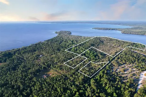356 Drayton Island Rd, Georgetown, FL 32139 photo 18