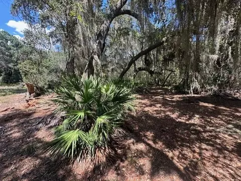 356 Drayton Island Rd, Georgetown, FL 32139 photo 37