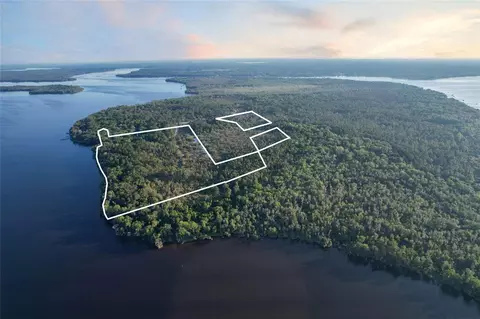 356 Drayton Island Rd, Georgetown, FL 32139 photo 10