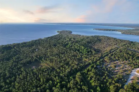 356 Drayton Island Rd, Georgetown, FL 32139 photo 5