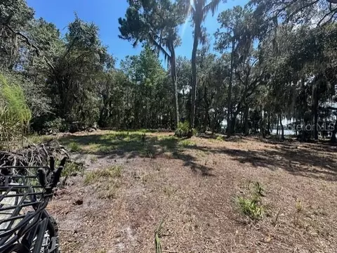 356 Drayton Island Rd, Georgetown, FL 32139 photo 32