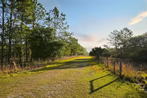 356 Drayton Island Rd, Georgetown, FL 32139 photo 27