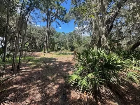 356 Drayton Island Rd, Georgetown, FL 32139 photo 36