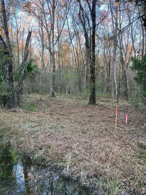 10450 Weatherby Ave, Hastings, FL 32145