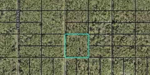 000 Dillon Ave, Hastings, FL 32145