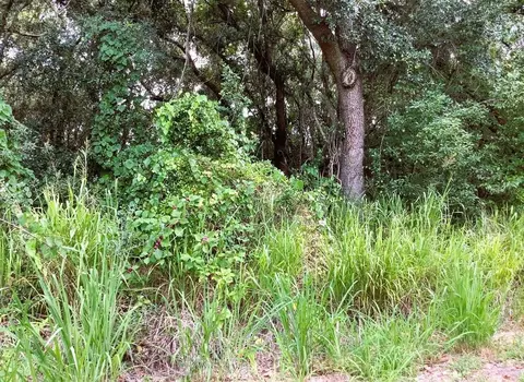 Avalon Road, Winter Garden, FL 34787