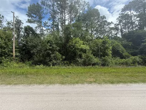 5670 Nutwood Ave, Bunnell, FL 32110