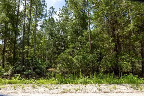 5661 Ironwood Ave, Bunnell, FL 32110