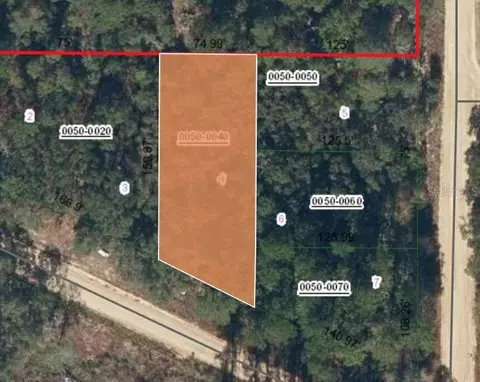 Nn Terrel Street, Interlachen, FL 32148
