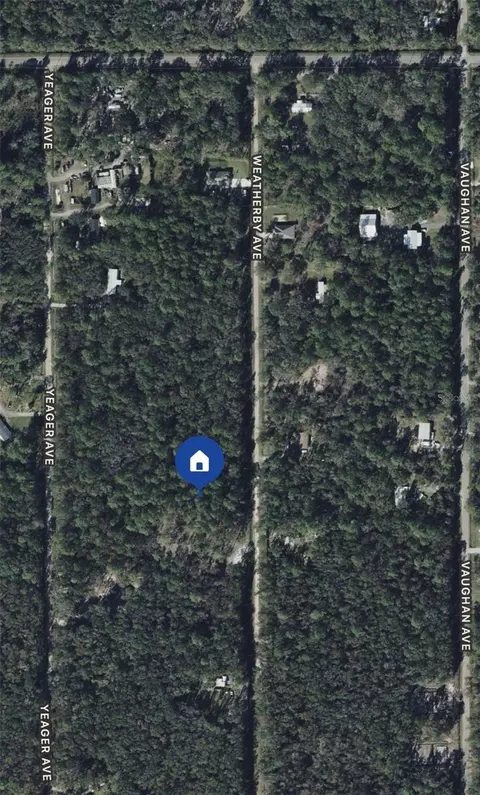 10105 Weatherby Ave, Hastings, FL 32145