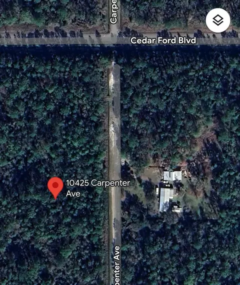 10425 Carpenter Ave, Hastings, FL 32145
