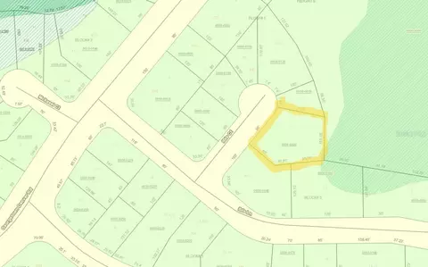 104 Ibis Ct, Crescent City, FL 32112