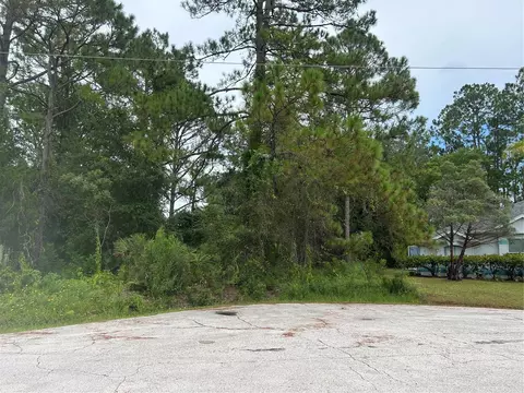 9 Rainrock Pl, Palm Coast, FL 32164