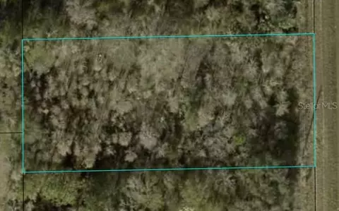 1366 County Road 305, Bunnell, FL 32110