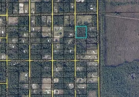 10420 Baylor Ave, Hastings, FL 32145