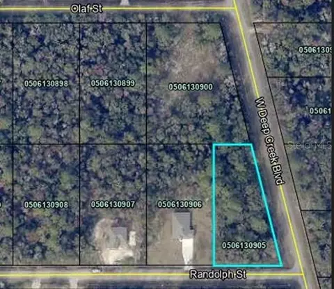 4800 Randolph St, Hastings, FL 32145