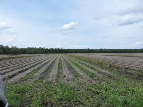 County Road 108 Road, Bunnell, FL 32110