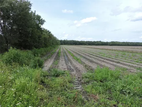 County Road 108 Road, Bunnell, FL 32110