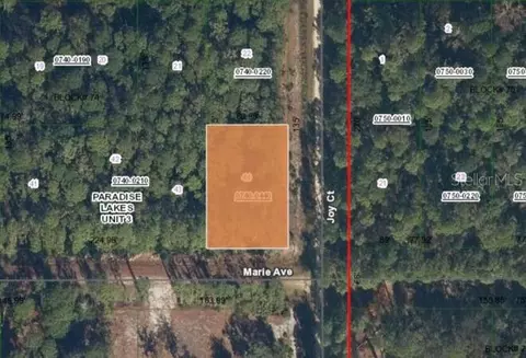 00 Marie Ave, Georgetown, FL 32139