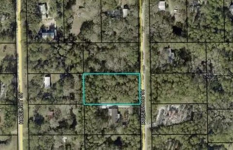1102 Rosewood St, Bunnell, FL 32110
