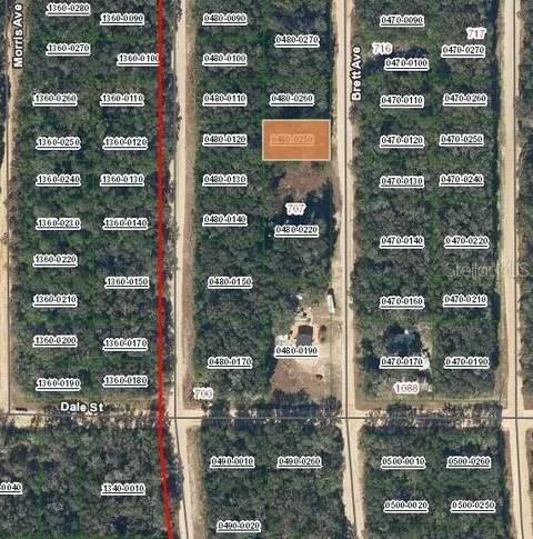 713 Brett Ave, Interlachen, FL 32148 photo 4