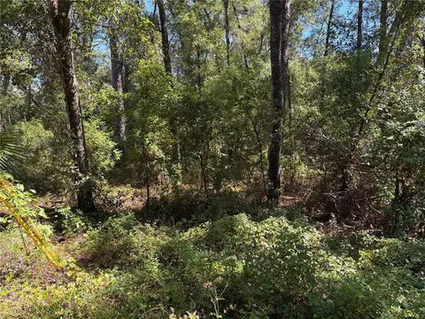 1228 Clover Ter, Inverness, FL 34452