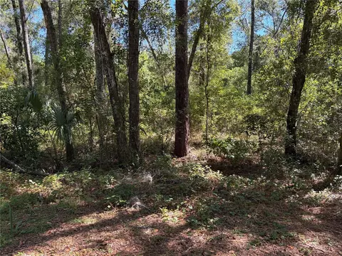 1222 Clover Ter, Inverness, FL 34452