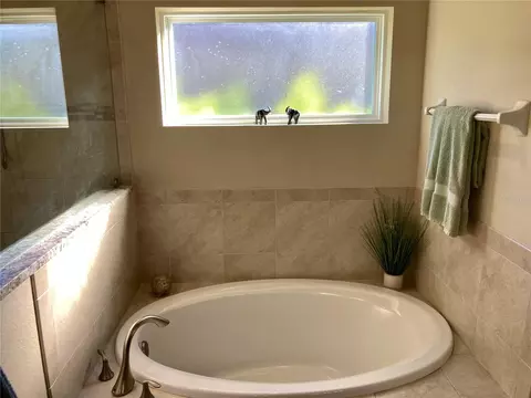Bath - 3078 Silvermines Ave, Ormond Beach, FL 32174 photo 7 of 16