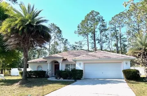 12 Ripton Pl, Palm Coast, FL 32164 photo 1