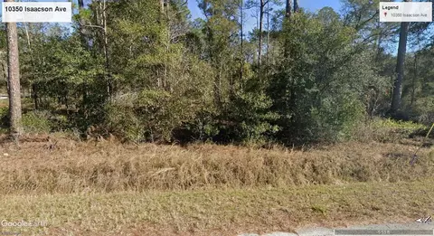 10350 Isaacson Ave, Hastings, FL 32145