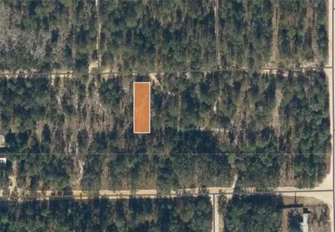 00 Unassigned Rd, Interlachen, FL 32148 photo 3