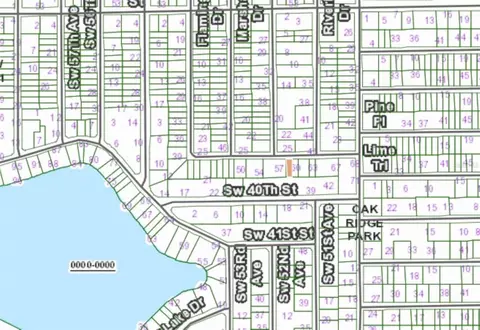 00 Unassigned Rd, Interlachen, FL 32148 photo 4