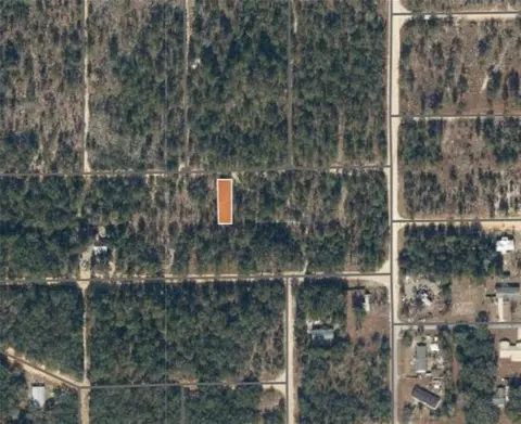 00 Unassigned Rd, Interlachen, FL 32148 photo 2