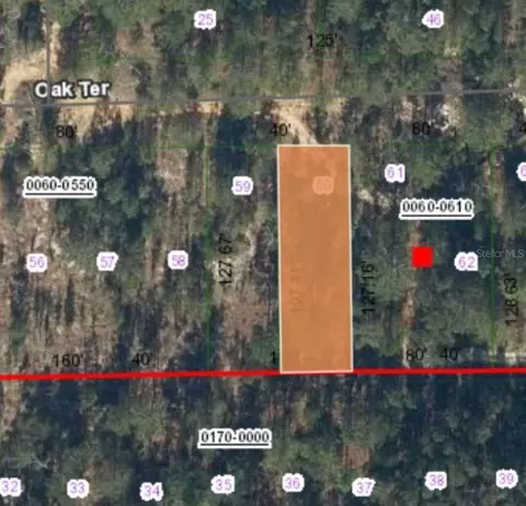 0 Unassigned Rd, Interlachen, FL 32148 photo 4