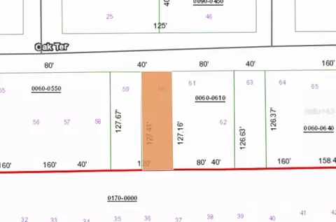 0 Unassigned Rd, Interlachen, FL 32148 photo 2
