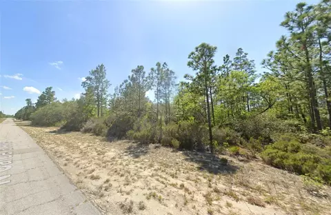 10660 N Caldera Ave, Dunnellon, FL 34433