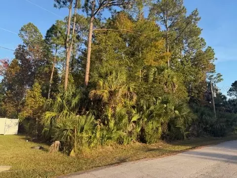 9 Pinelark Ln, Palm Coast, FL 32164
