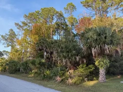 11 Pinelark Ln, Palm Coast, FL 32164