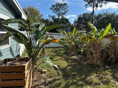 Exterior - 861 Palermo Rd, Saint Augustine, FL 32086 photo 7 of 8