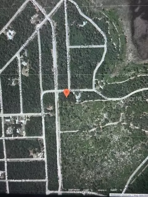 105 Easy Ln, Satsuma, FL 32189 photo 1