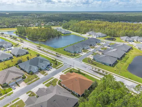 View/Area - 3 Hawk Roost Ct, Ormond Beach, FL 32174 photo 6 of 7